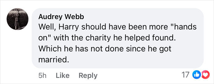 Comment criticizing Harry's involvement with charity, mentioning changes since marriage.