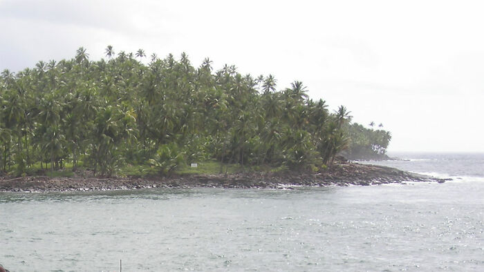 Tropical island with dense palm trees surrounded by ocean waves, related to dark side of history.