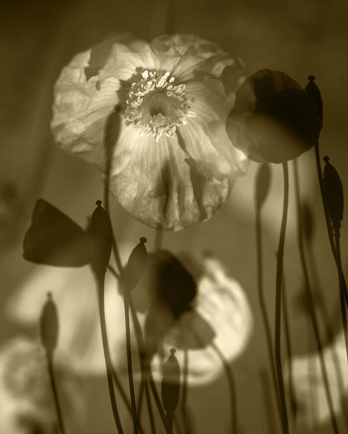 Time Fading Into Itself