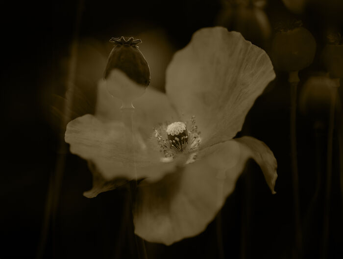 What Came Before What Comes After