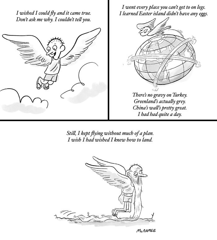 Comic illustration of a person unexpectedly flying, then humorously regretting not learning how to land.