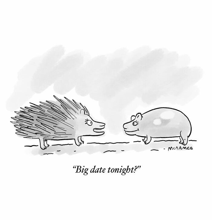 Porcupine and capybara in a funny comic, one asks the other about a big date tonight, illustrating a twisted situation.