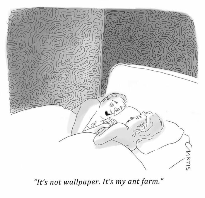 Couple in bed with unusual wallpaper, man says it's his ant farm; comic reflecting on everyday life.