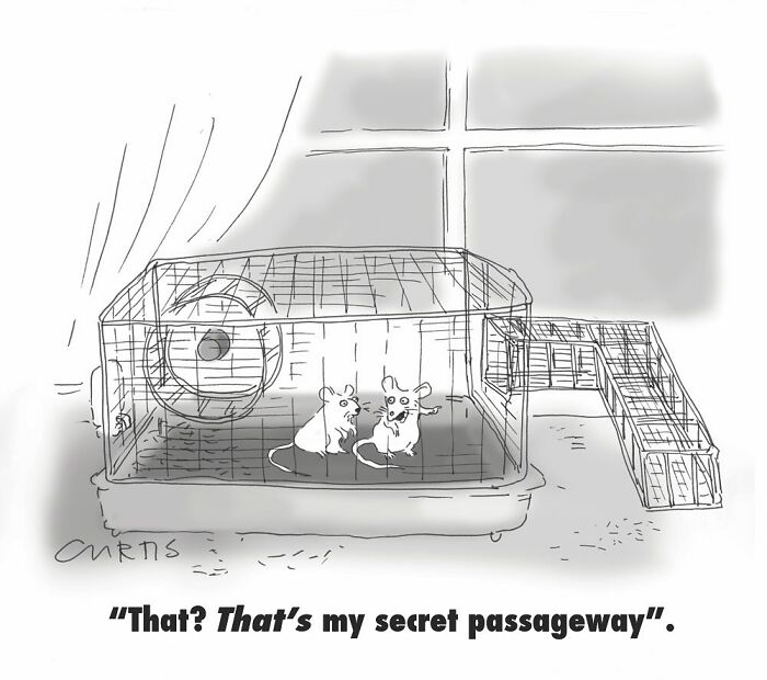 Two mice in a cage, with one pointing and saying, "That's my secret passageway," reflecting everyday life humor in comics.