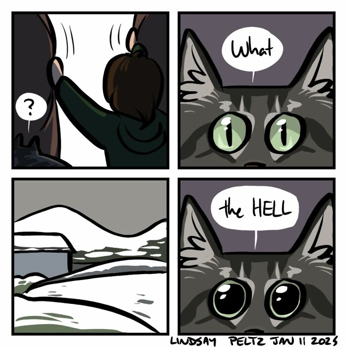 Comic strip depicting life's struggles with a surprised person and cat reacting to heavy snow outside a window.