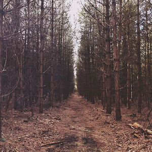 dreamwindow11 avatar