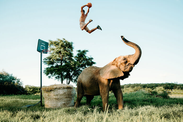 Basketball player leaps with an elephant on a sunny field, part of 2024 IPA stunning photos collection.