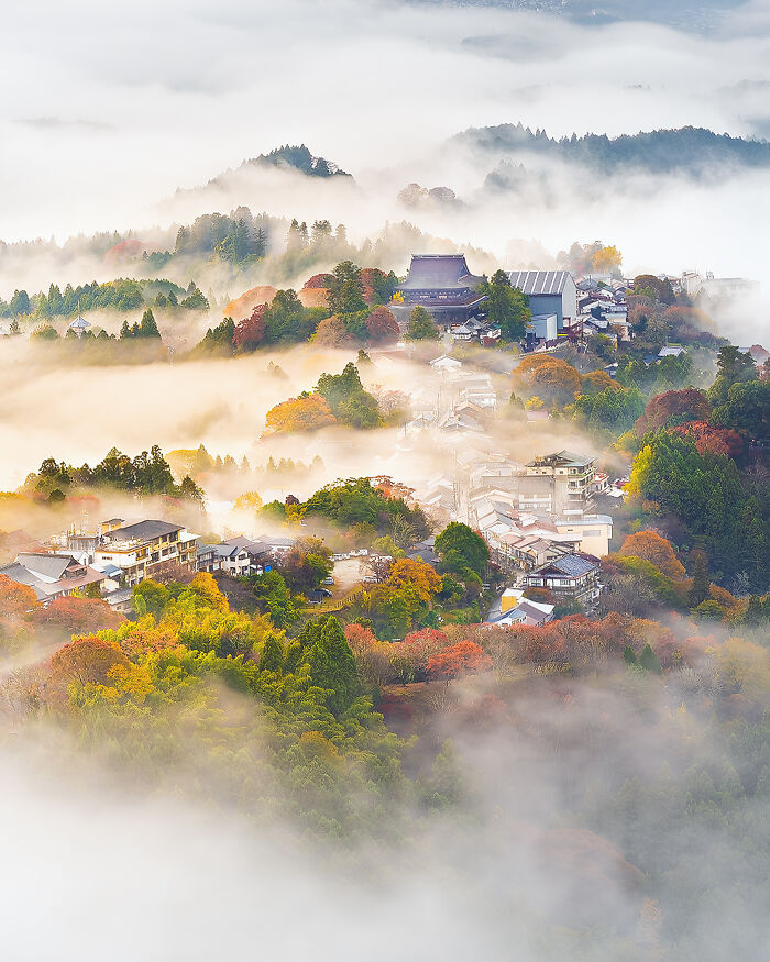 A stunning aerial view of a misty village surrounded by autumn trees, highlighted in the 2024 IPA winners.