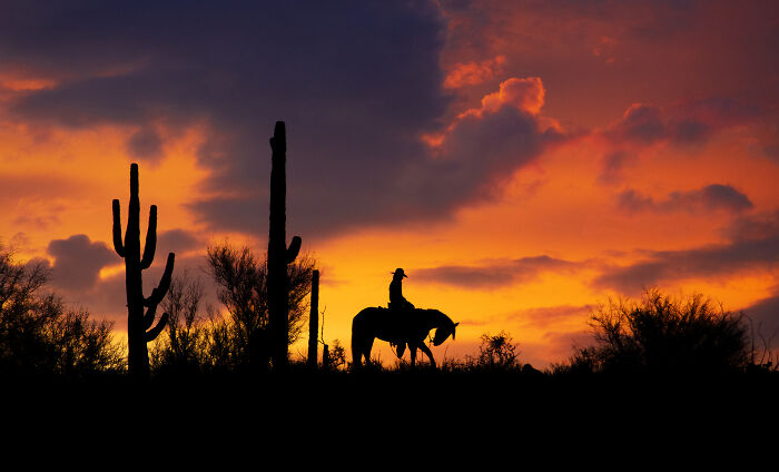 Silhouetted cowboy on horseback under vibrant sunset, a stunning photo from the 2024 IPA finalist collection.