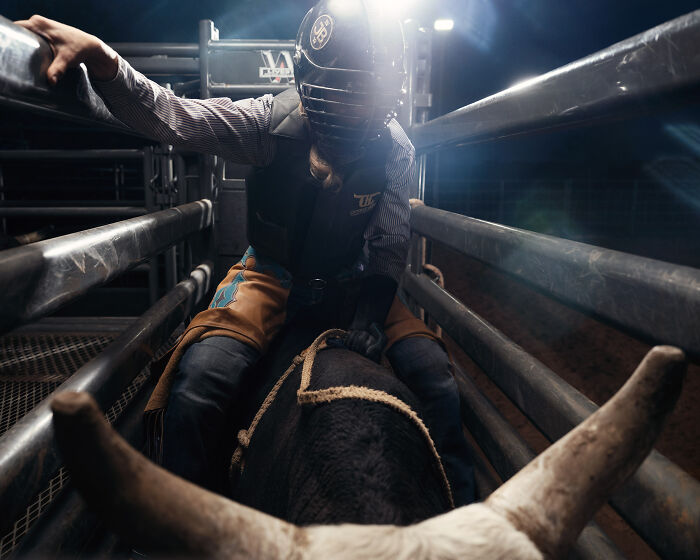 Bull rider prepares in a chute, showcasing stunning IPA photography with a dynamic lighting effect.