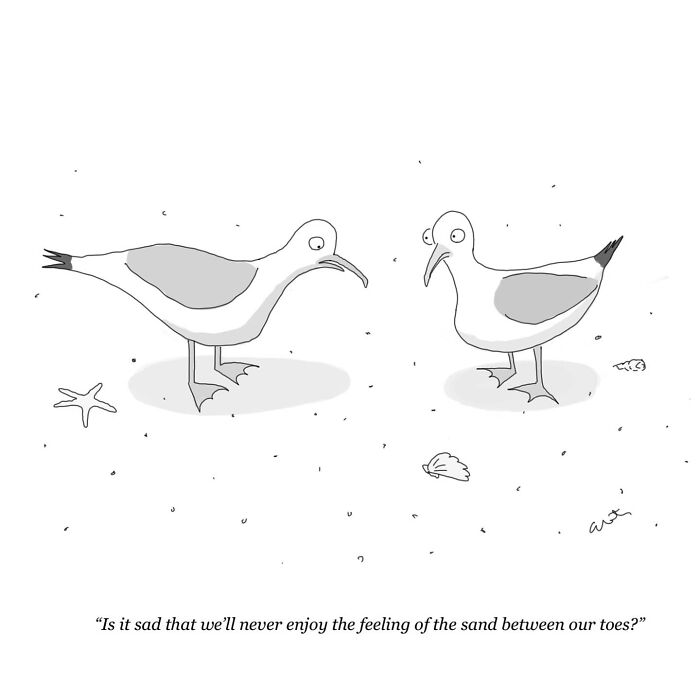 Two birds on a beach humorously pondering the sensation of sand in an artist's comic.