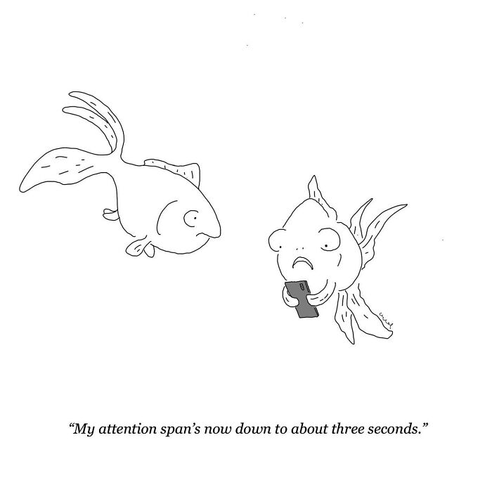 Two fish in a comic, one holding a phone, humorously depict short attention span.