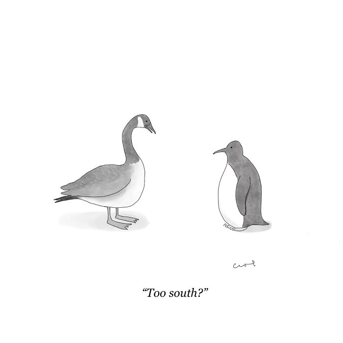 A comic showing a penguin and a goose with the caption "Too south?"