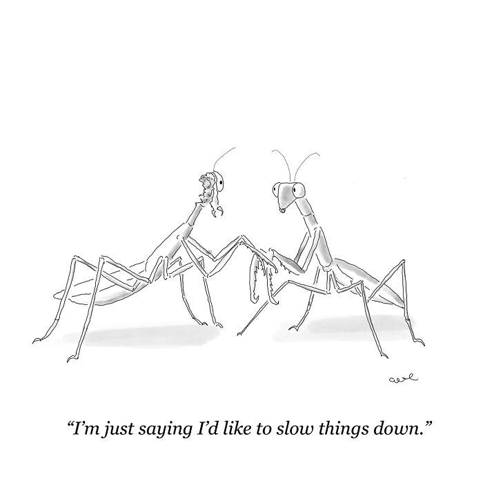 Two cartoon praying mantises in a humorous comic about slowing down.