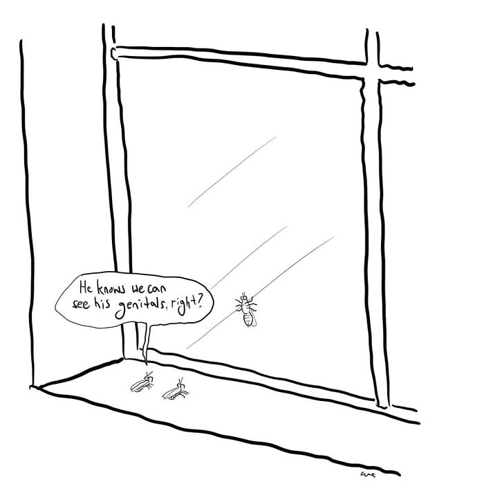 Comic of insects discussing a fly's exposed genitals, illustrating everyday moments with humor.