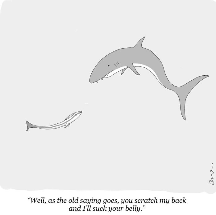 Cartoon showing a fish and shark with a humorous twist on the saying "scratch my back and I'll suck your belly."