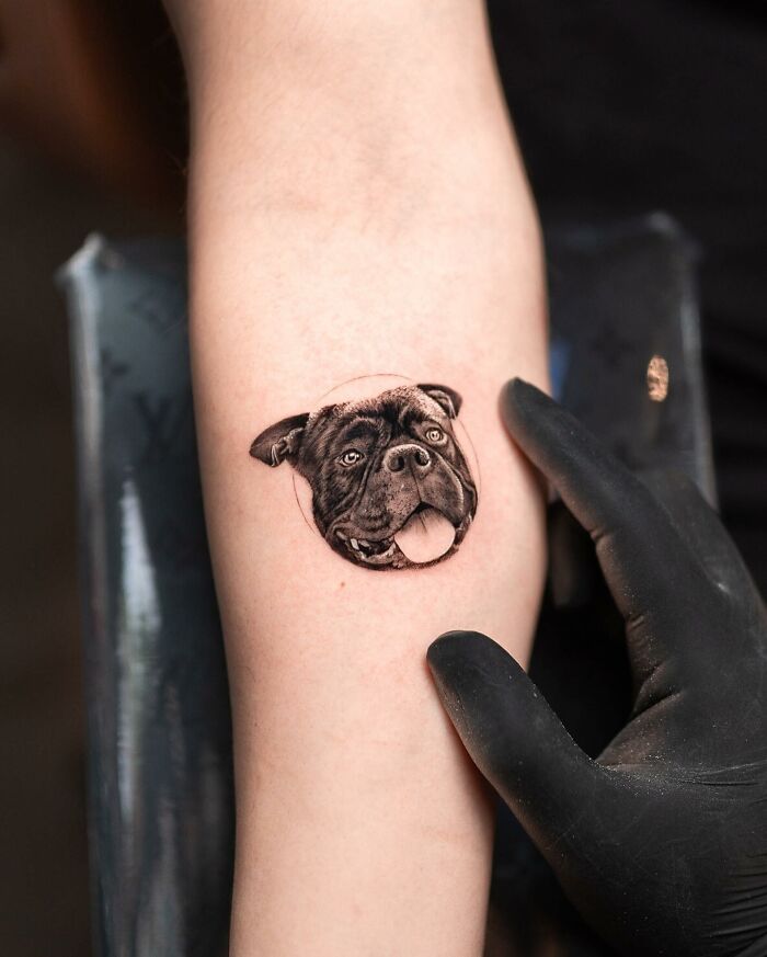 Lifelike tattoo by Tatu Panda of a dog's face on a person's arm, with a hand in a black glove nearby.