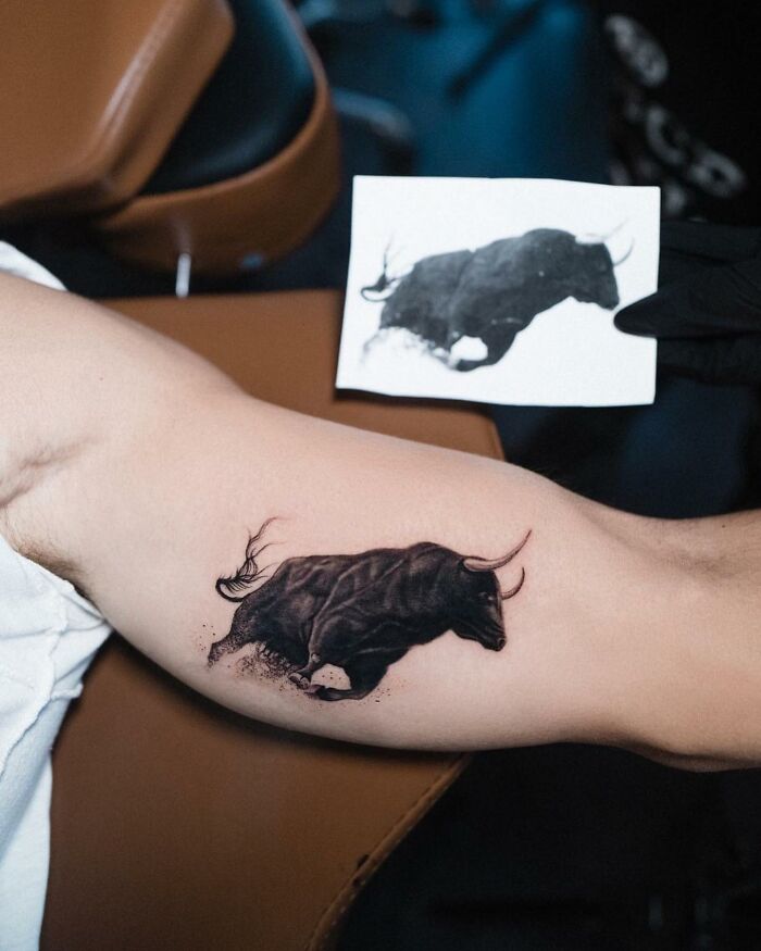 Lifelike bull tattoo by Tatu Panda on an arm, with a reference sketch nearby.
