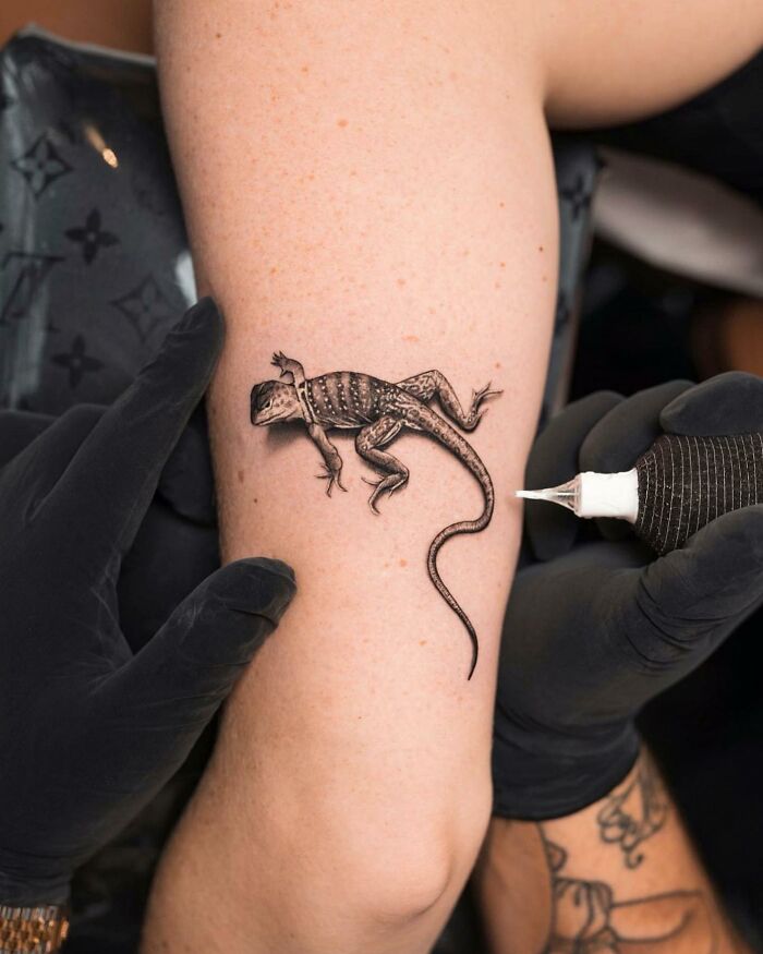 A lifelike lizard tattoo being inked on an arm, created by tattoo artist Tatu Panda.