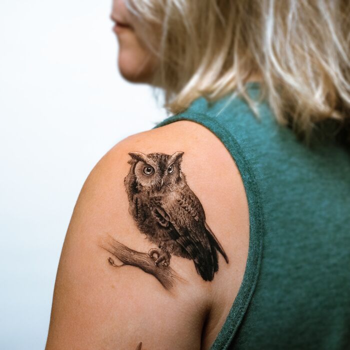 A lifelike owl tattoo by Tatu Panda on a person's shoulder, detailed and realistic.
