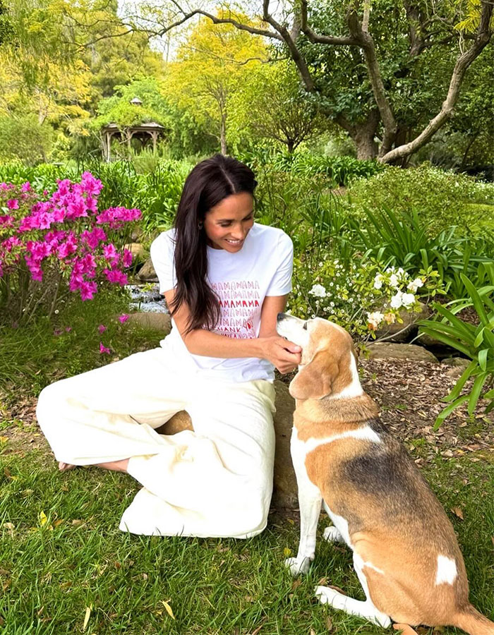 Woman sitting on grass in a garden with a dog, highlighting a serene moment amidst vibrant flowers.