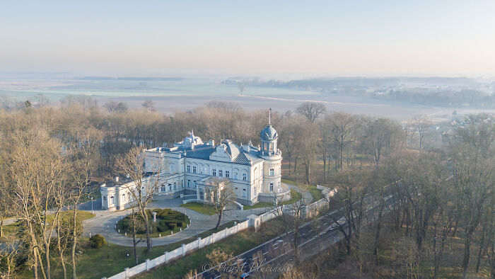 Aerial view of a historic mansion surrounded by trees in the cityscape.