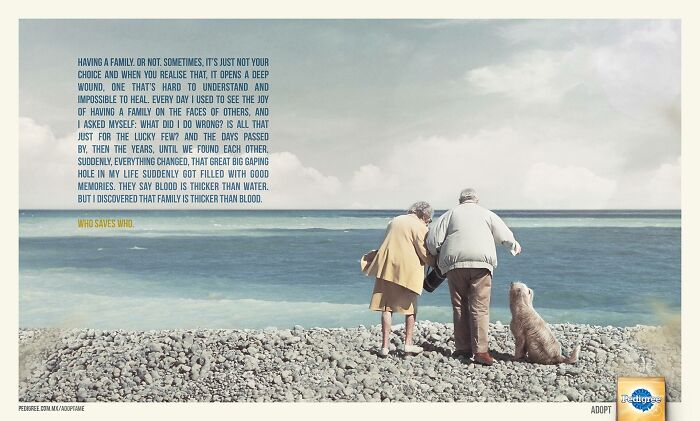 Elderly couple and dog sitting by the ocean, part of a heartwarming canine campaign.