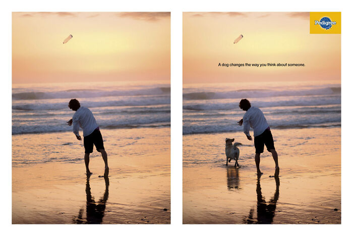 Man playing fetch with a dog on the beach at sunset, highlighting the emotional bond in canine campaigns.