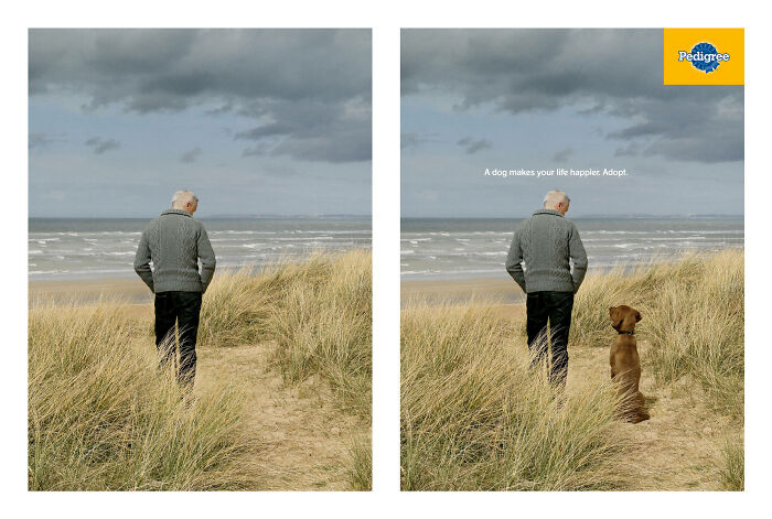 Man walking along beach with furry companion, showcasing heartwarming canine campaign by Pedigree.