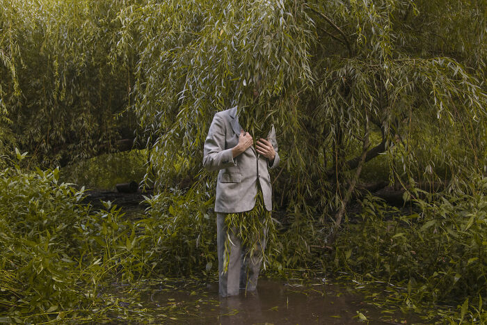 Solitary figure in a suit standing in water, face obscured by tree branches, creating a surreal landscape.