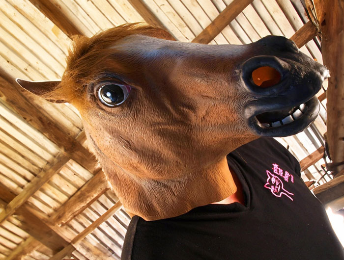 Person wearing a humorous horse mask indoors, showcasing an Amazon masterpiece product.