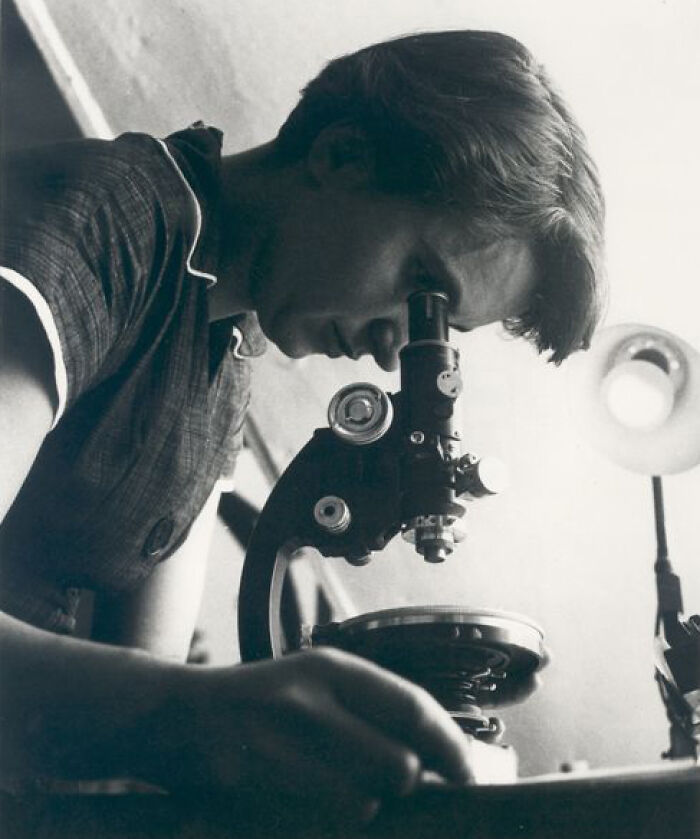 Person examining through a microscope in a scientific setting, illustrating historical facts often taught incorrectly.