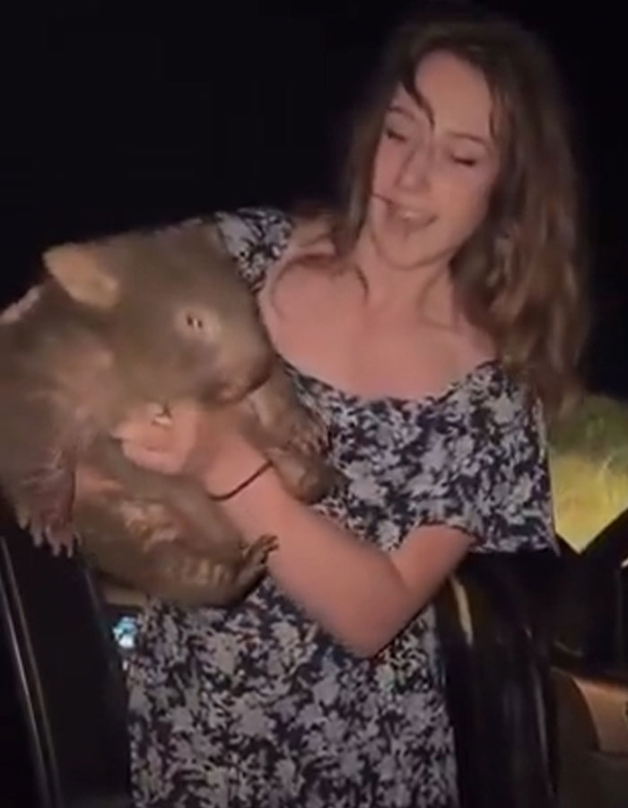 US woman holding a baby wombat at night, wearing a floral dress.