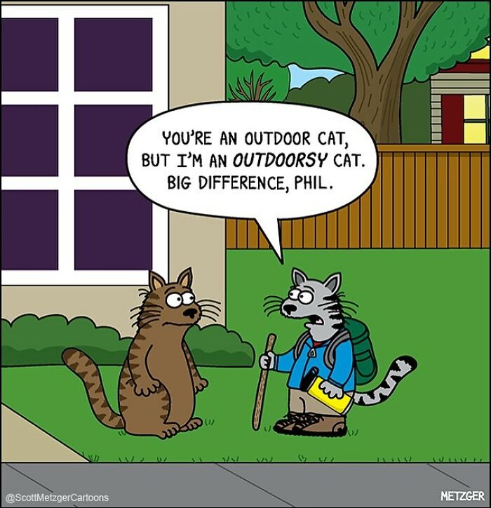 Two cats talking; one with hiking gear saying, "I'm an outdoorsy cat," highlighting funny differences for cat owners.