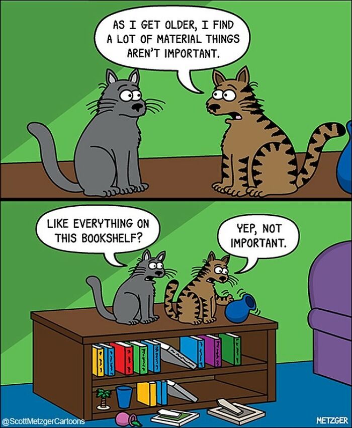 Two cartoon cats with books and items on a shelf, discussing the unimportance of material things.