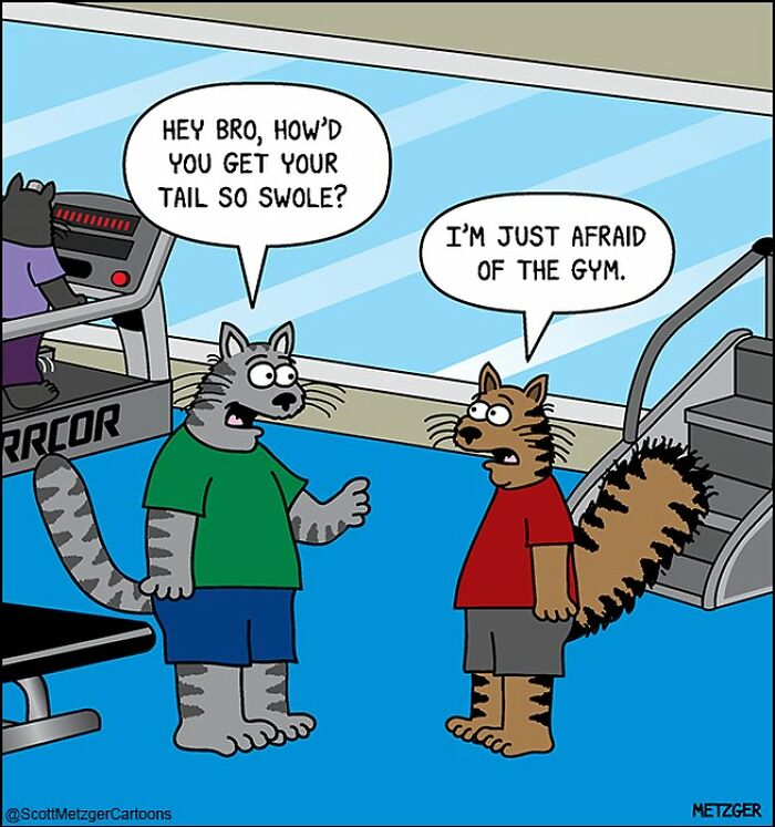 Funny comic by Scott Metzger with cats discussing a fluffy tail at the gym, perfect for cat and dog owners.