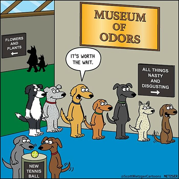 Dogs queue at Museum of Odors, cartoon by Scott Metzger, capturing humor for cat and dog owners.