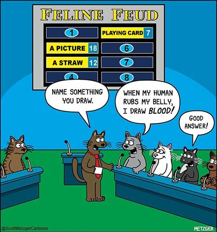 Cats in a game show parody, humorously discussing how they react when their bellies are rubbed.