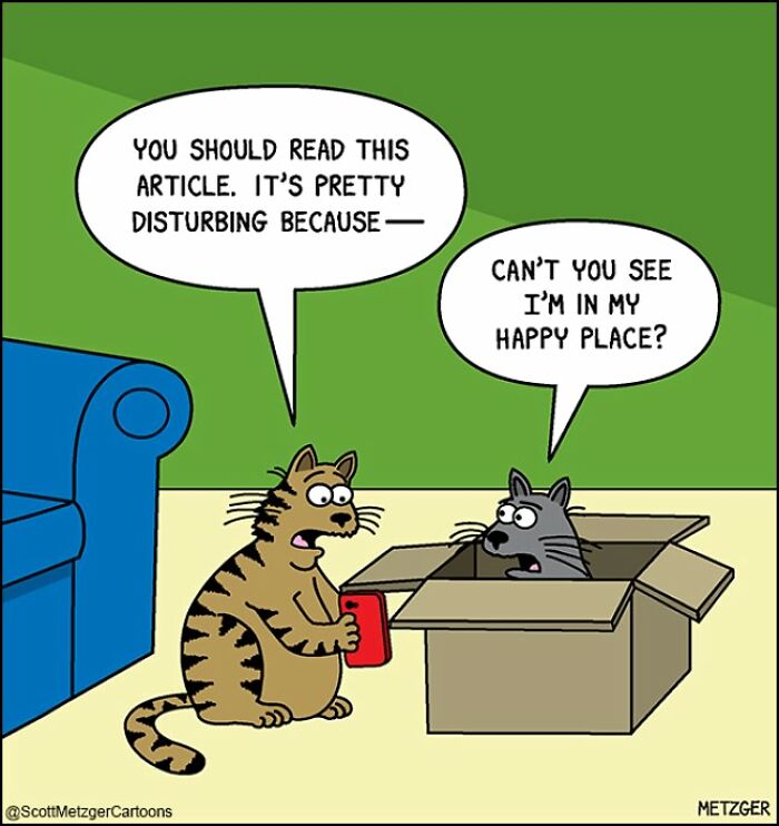 Two cats talk; one in a box ignoring the other's disturbing news. Comic by Scott Metzger for cat and dog owners.