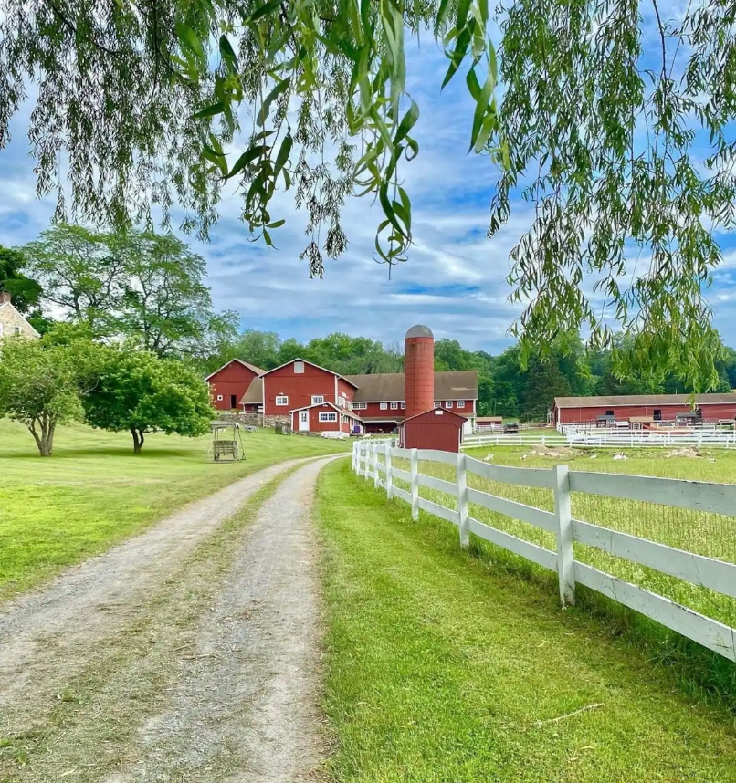 Red barn and silo in a lush, green farm setting under a blue sky, showcasing a serene rural landscape.