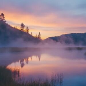 bagheerakiplingii avatar