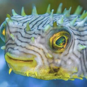 harlynscott_1 avatar