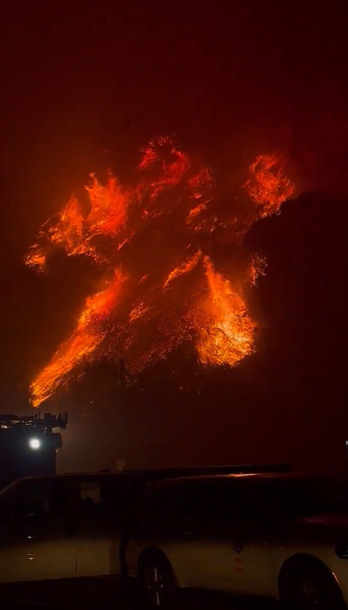 LA wildfire blazing at night, intense flames with vehicles in foreground, highlighting State Farm controversy.