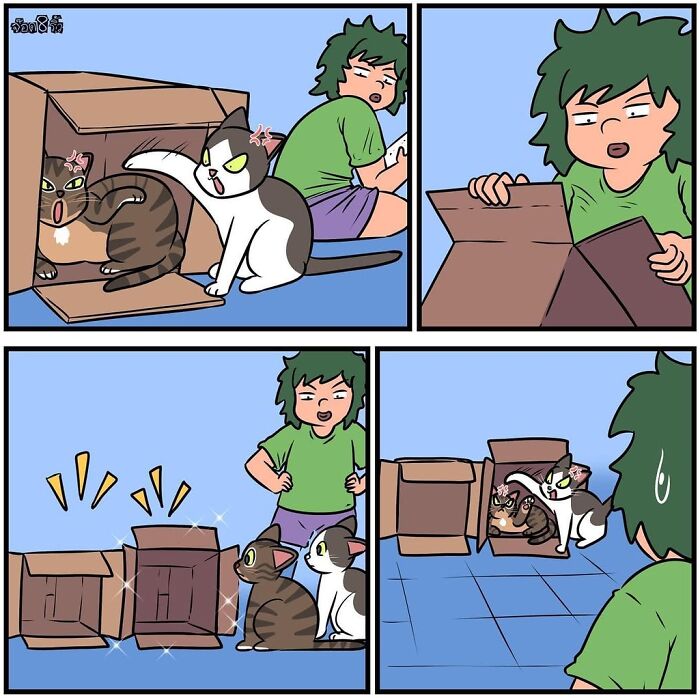 Comedic comic by artist Jod_8riew showing cats having fun with a cardboard box.
