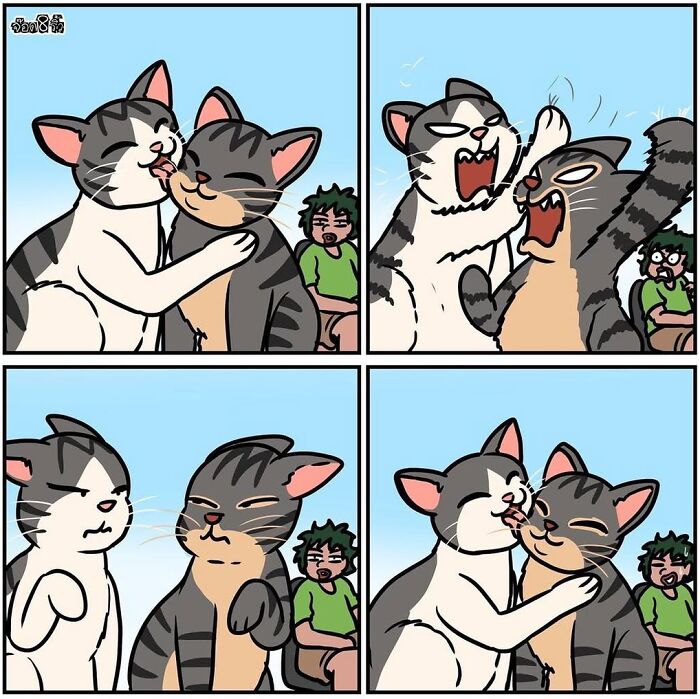 Comic strip by artist Jod_8riew featuring two cats cuddling and fighting, surprising onlookers in a humorous twist.
