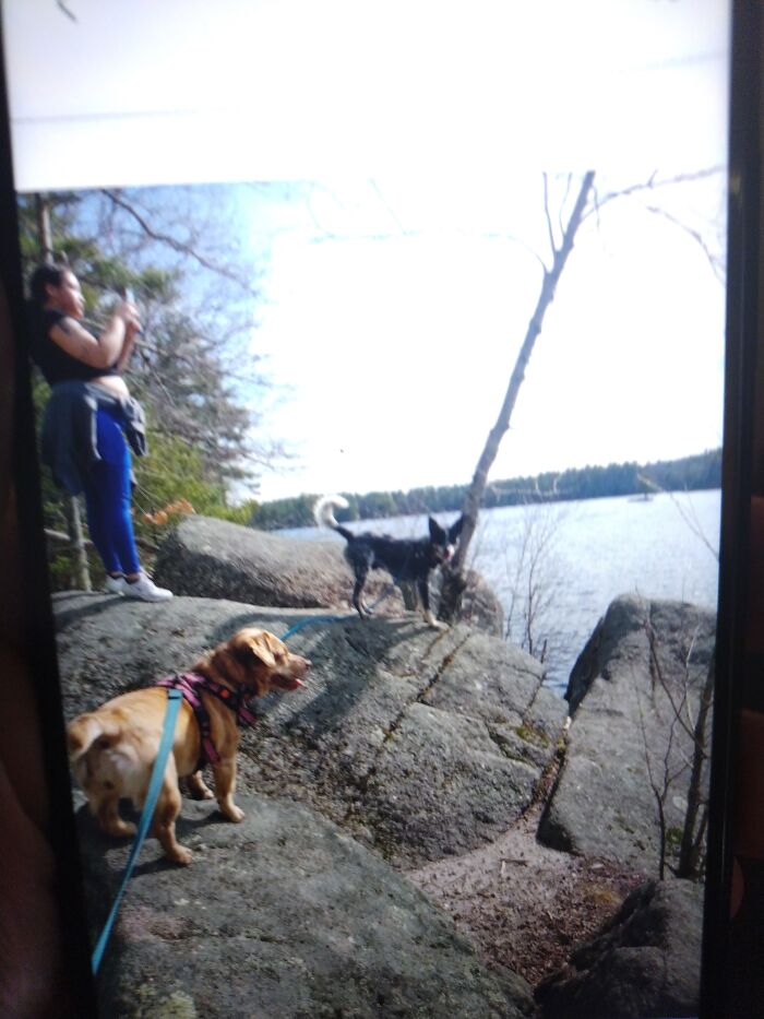 Bruno And Chanel 🐕 ❤️