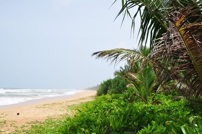 Tropical beach with lush greenery and palm trees along the shoreline, perfect for a stunning beach getaway.