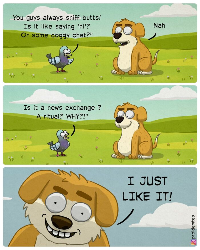 A dog and a bird in an absurd comic, where the bird questions the dog's habits with a funny twist.
