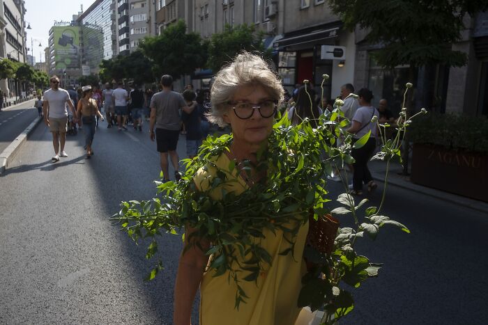 Elderly woman with glasses walks through a crowded street, humorously covered in plants, creating a comedic everyday moment.