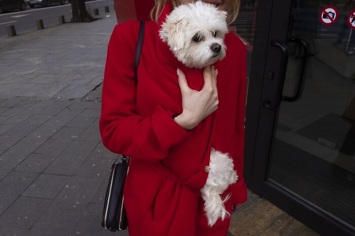 Person in red coat carrying a white fluffy dog, creating a humorous street photo moment.